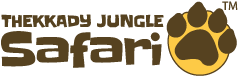 Thekkady Jungle Jeep Safari